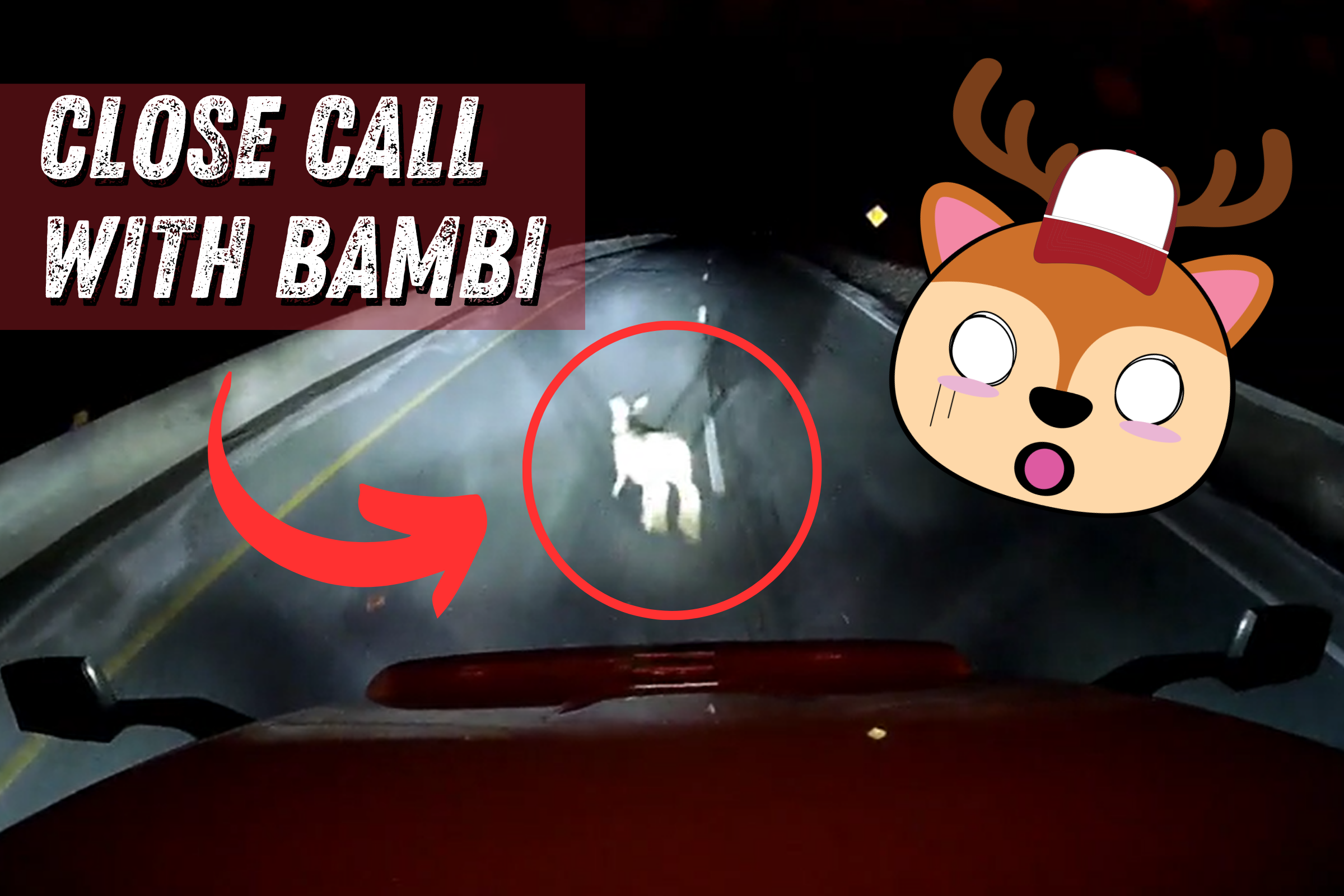 watch-deer-in-headlights-avoids-collision-with-big-rig