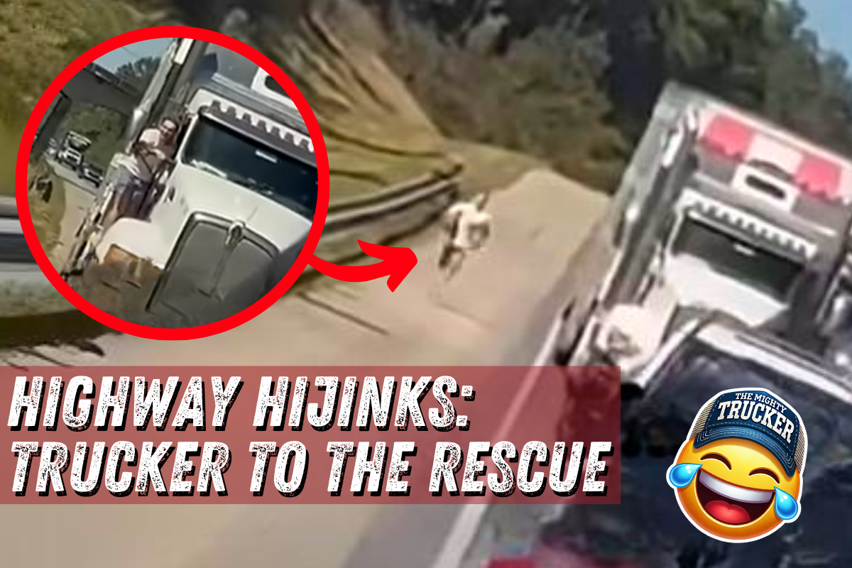 Highway Hijinks: Trucker to the Rescue