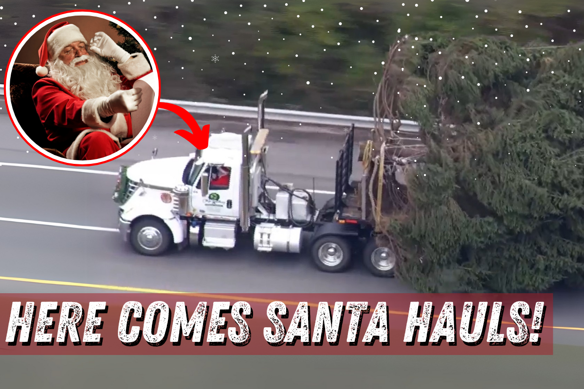 WATCH: Santa Claus Hauls Louisville’s Christmas Tree