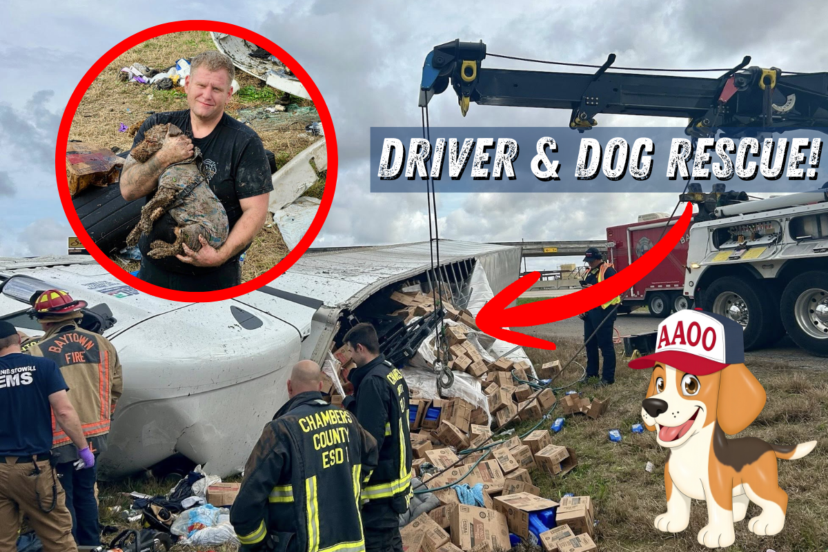 Firefighters Rescue Driver & Dog From Overturned Rig