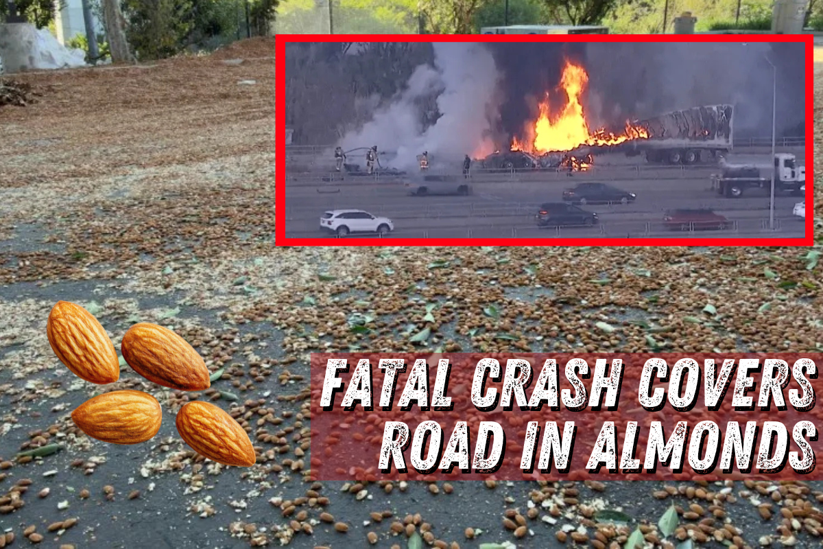 Almonds Rain on Road After Fiery Semi Crash