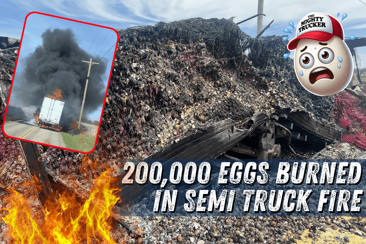 200k Egg Haul Burned in Semi Fire